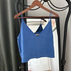 Everlane Washable Silk Blue Crop Top